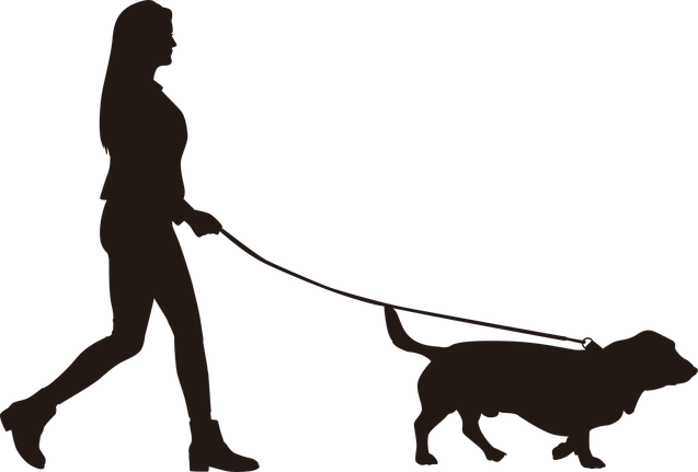 Thema: Fit bis ins hohe Alter . HP Nicole Minke: Silhouette einer Frau die mit ihrem Hund spazieren geht