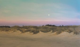 "In The Middle", 60x100 cm, olie  SOLGT