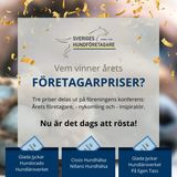 FB_IMG_1697129679650