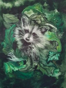 Racoon