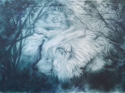 In the Forest of the Night