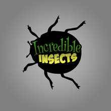 incredible_insects