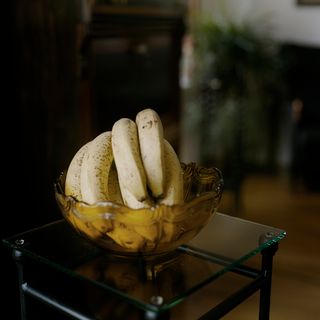14_oslo