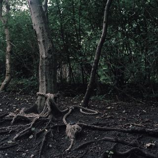 18_roots