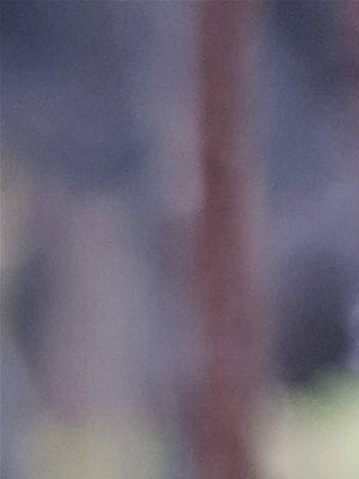 Foto av Sandra Hofer
