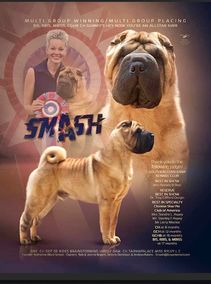 4 Smash