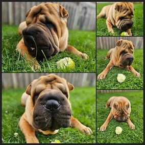 6Rudyb_edited1