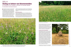 Planten van hier