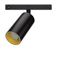 Afbeelding magnetic spotje Lumi 48