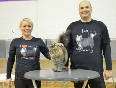 Våre gode venner fra Grensedalen, Elin og Odd sammen med Honey. Honey hadde en god helg med både BIS, beste klubbkatt kat 2 og beste klubbkatt totalt. I tillegg ble de beste oppdrett på Grensedalen søndagen takket være blant annet vår egen Goliat. Takk for den fine gutten.