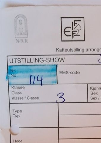Vi trenger ikke mer enn dette på en dommerseddel
