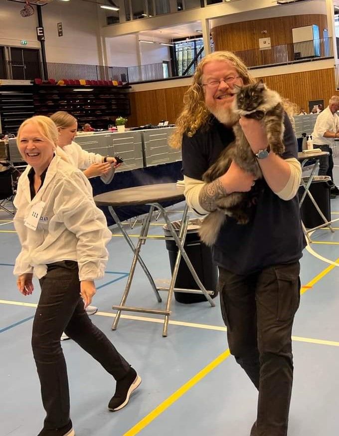 Midlertidig sinnsyk håper vi også er formildende omstendigheter på en katteutstilling