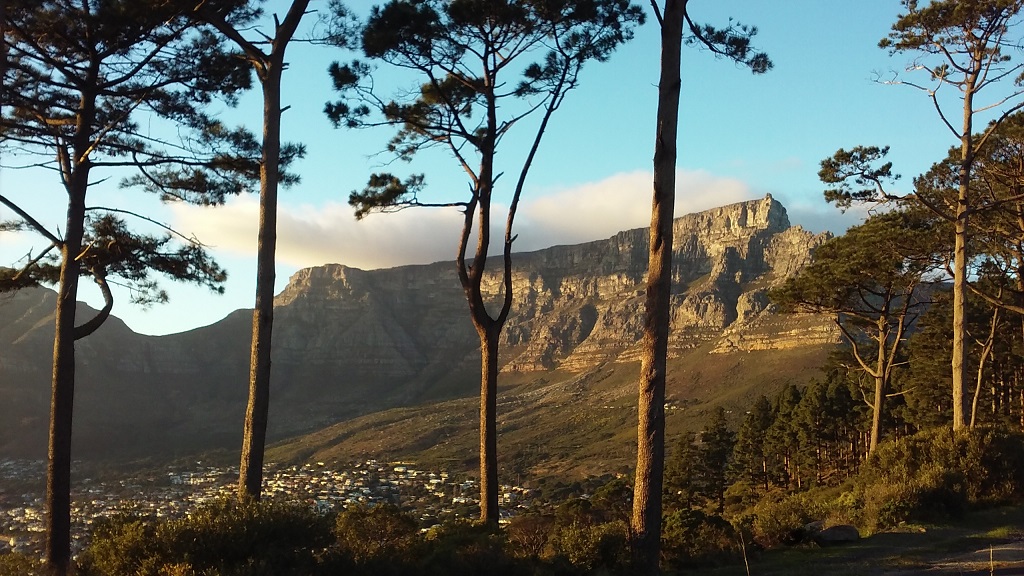 Table Mountain