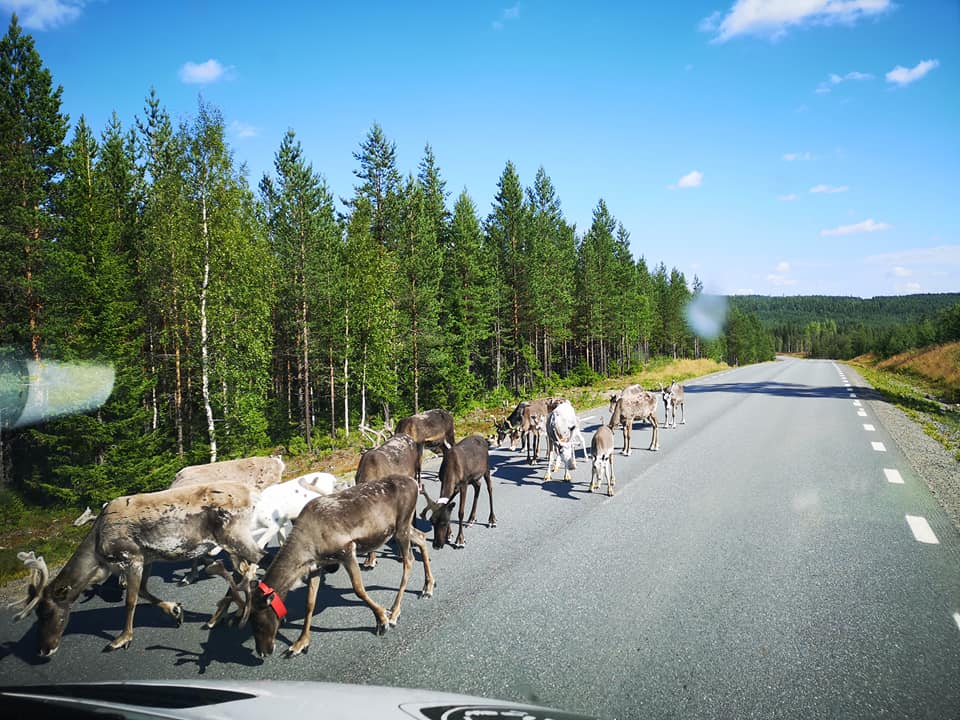 Varning för andra fordon!