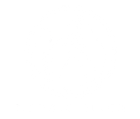 nordicbirch