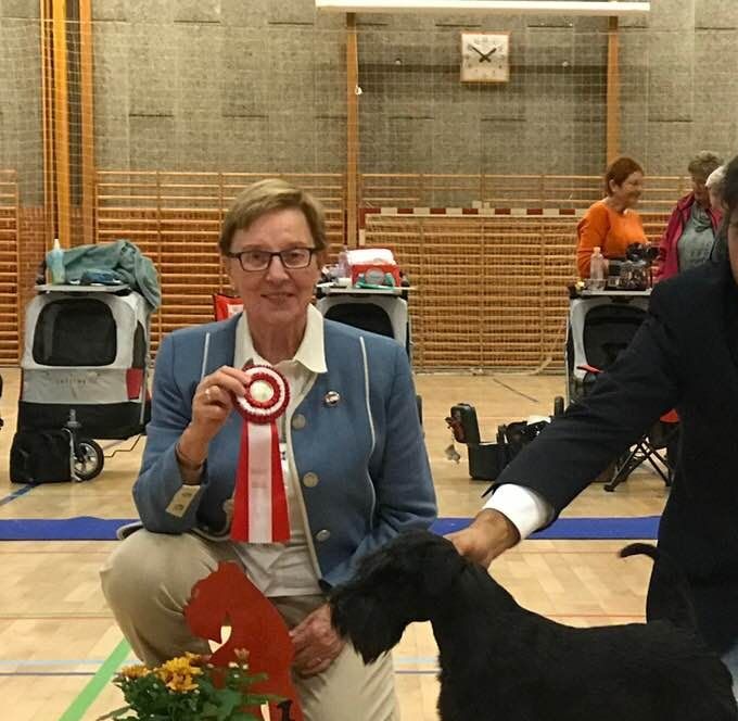 Icy In Black Di Monte Gentile BIS puppy/valp Danish specialty Club/specialklubben i Danmark 2018