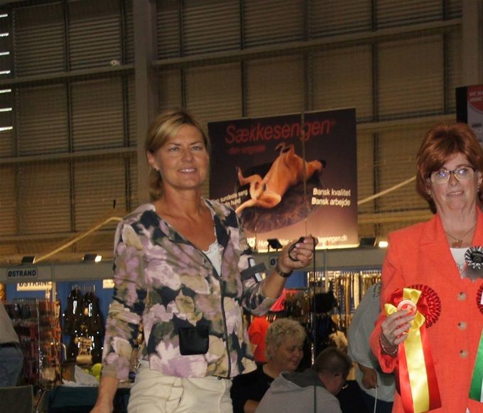 Father and daugther - Blackgalazy Veni Vidi Vici & Blackgalaxy Zingarella Copenhagen Winners/Köpenhamnsvinnare 2016
