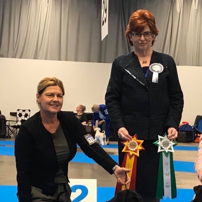 JCH Estellet´s Andria Z BOB/BIR in My Dog Gothenburg 2020