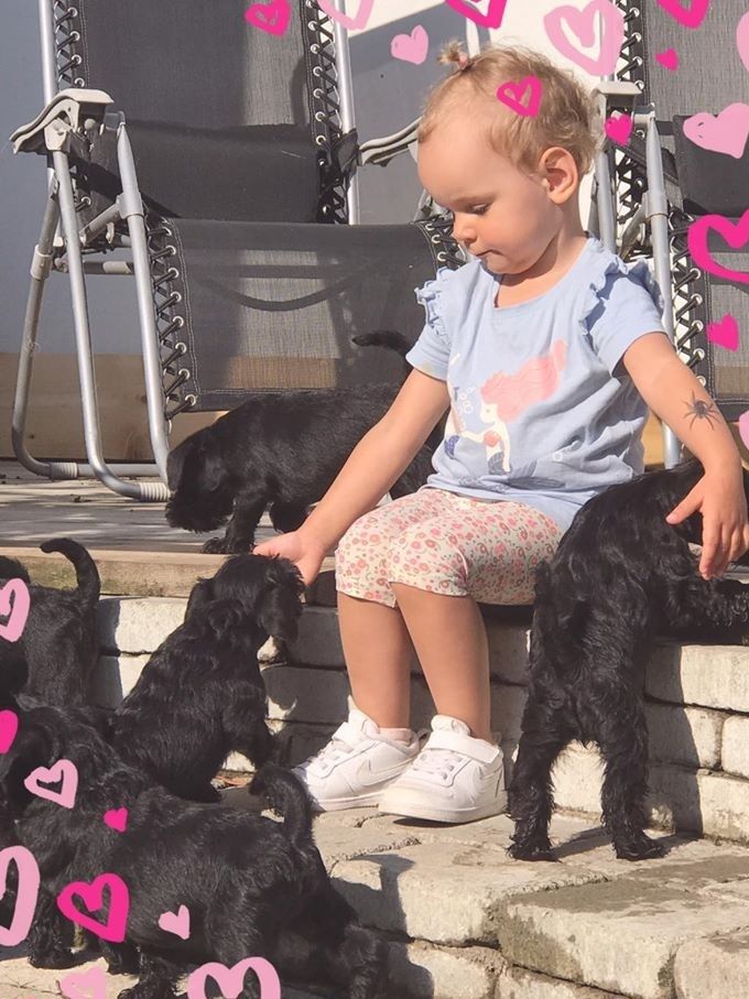 Isabella Svennefelt and puppies 2019 - simpley lovely!!