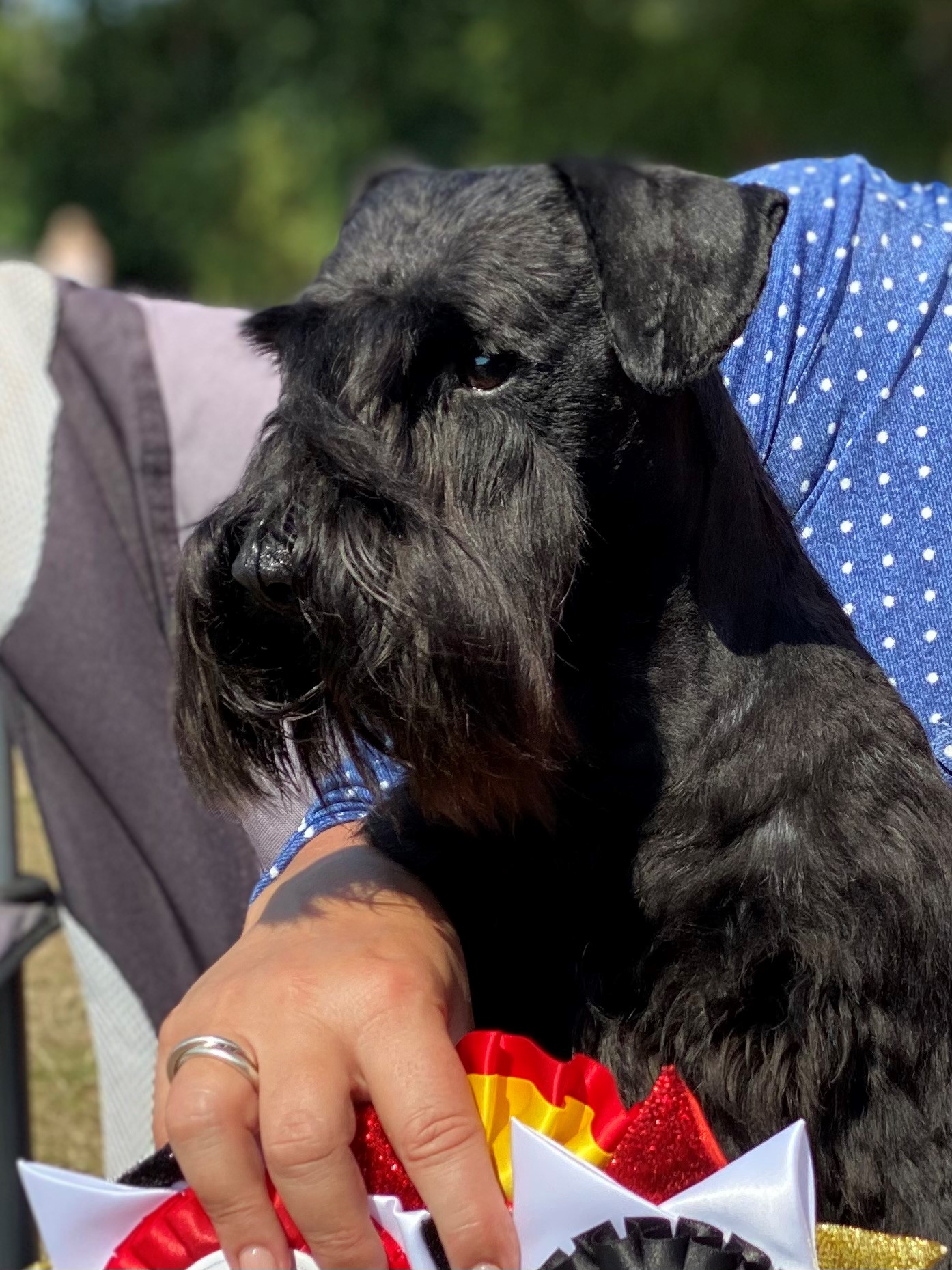 Male | nordicblack.se