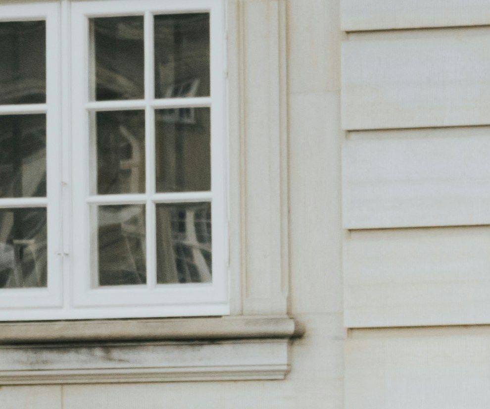 Gaurds outside Amalienborg (the King's Castle)