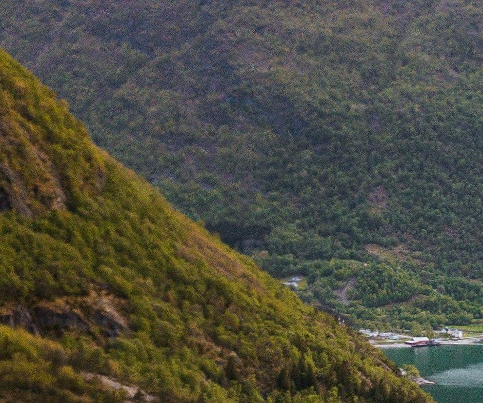 Sognefjord