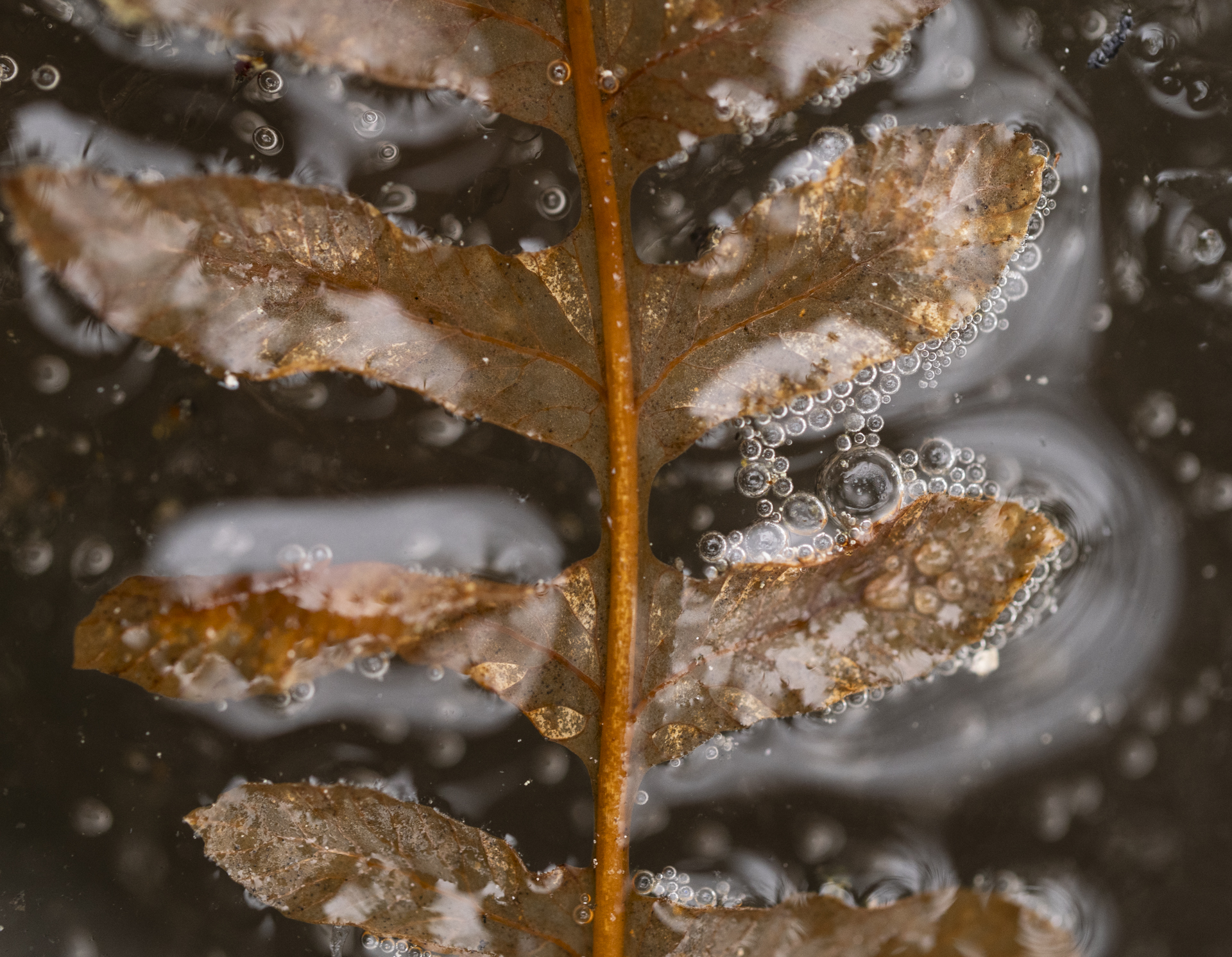 31032024-P3311159