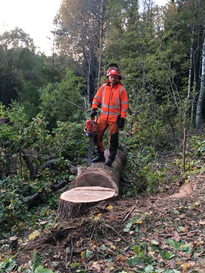 22089413_1973571889587385_5239613460664372357_n