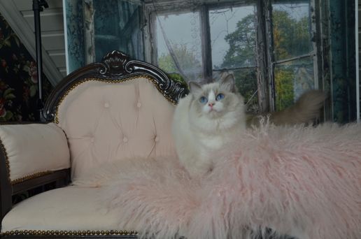 DSC_6781