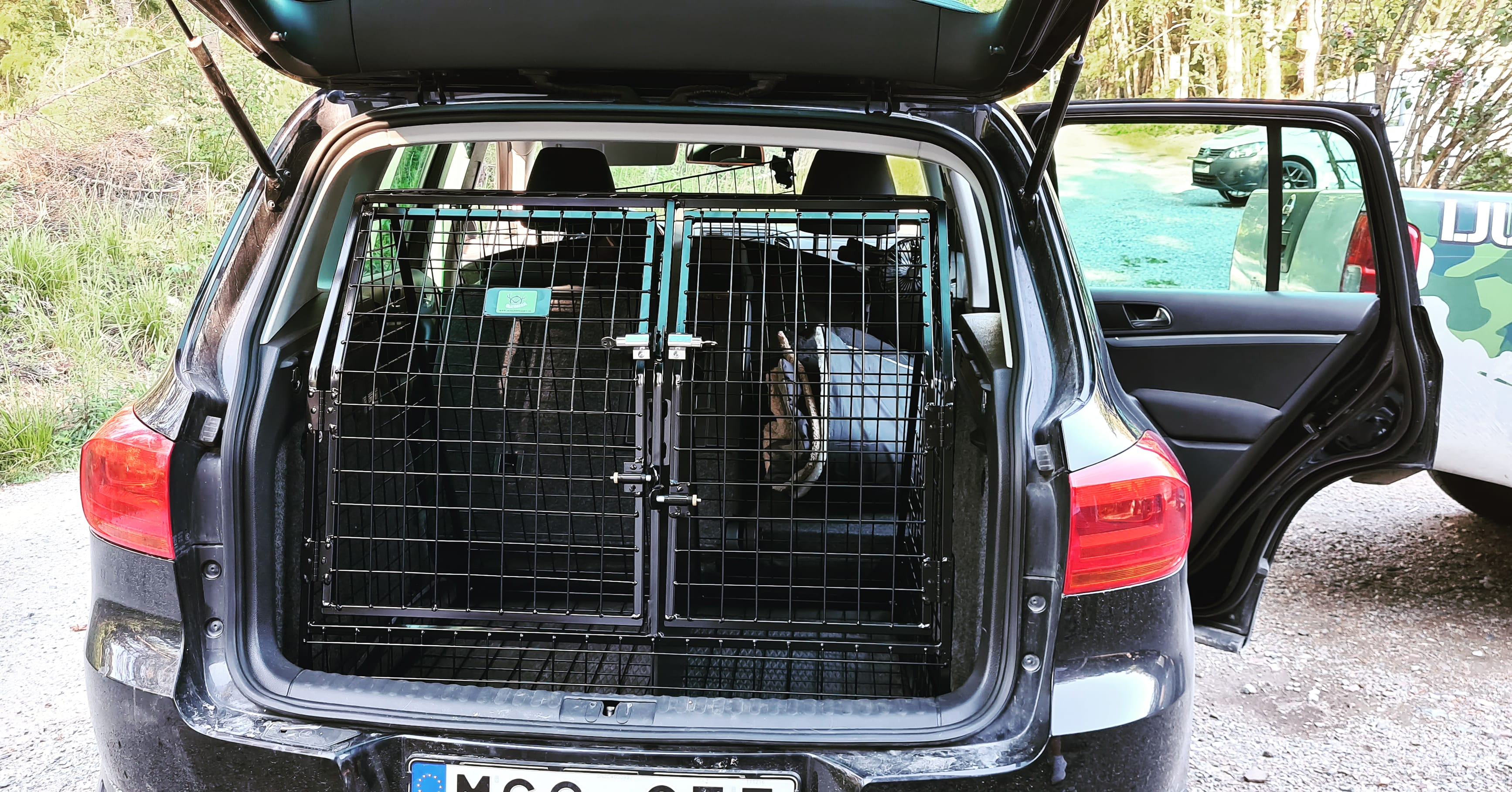 IMG_20200618_192628_505