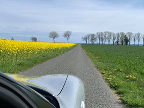C5 mot Gislövshammar