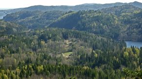 Åsnes, Ødegården og Liurvann, sett fra Tømmeråsen.