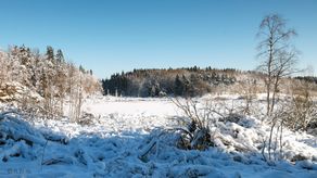 Ulverødtjønna.