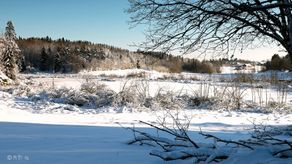 Ulverødtjønna.