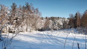 Ulverød.