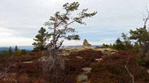 Vestfjellet, 635,04 moh.
