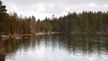 Merkedammen.