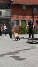 familjedag1