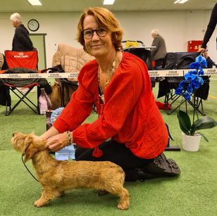 BIS 2, 4-6 månader. SH Dvärg. Sweetax Eva Evita. Fotograf Zandra Skjev