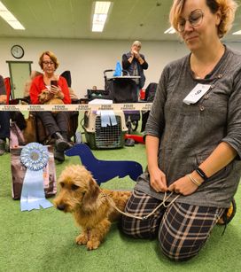 BIS 2, 6-9 månader. SH Normal. Adeo Vivety Brenda. Fotograf Zandra Skj