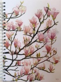 anteckningsbok magnolia