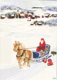 N25 Snölandskap