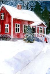 N41 Mörka huset