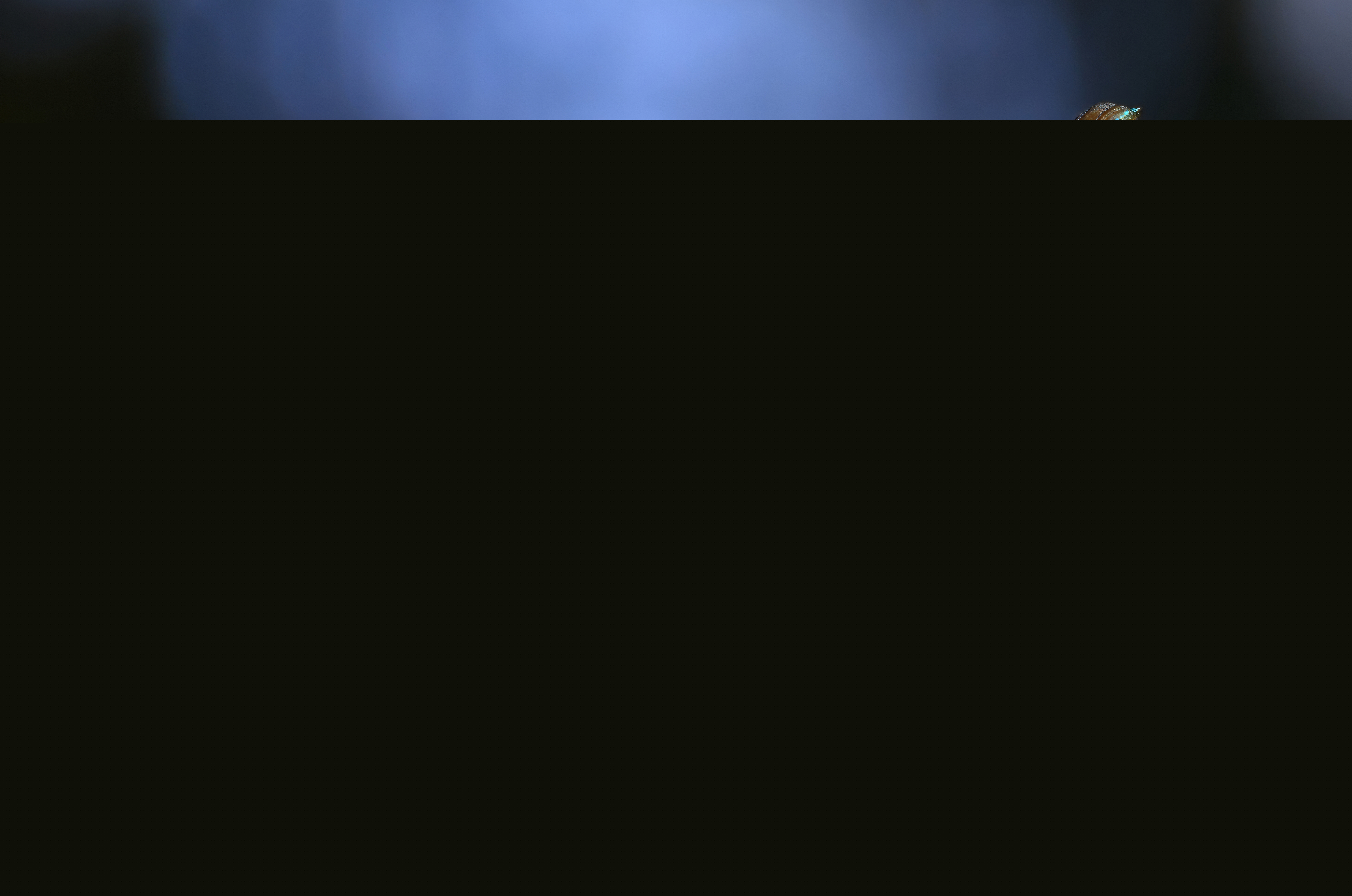 Blå jungfruslända