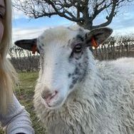cloe