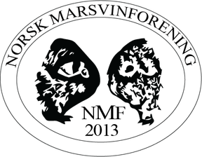 Norsk Marsvinforening