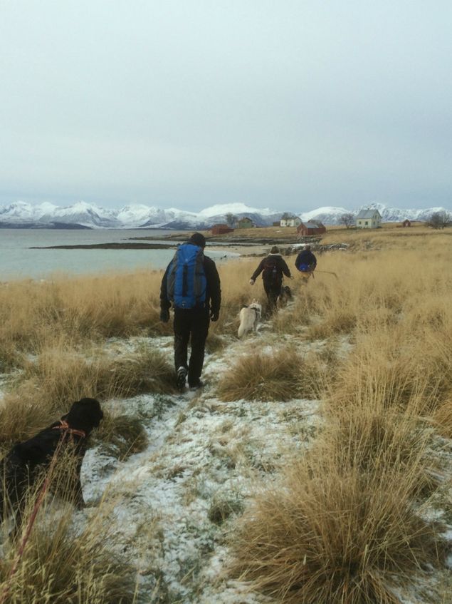 1.november- og vinter og mørketiden er i anmarsj.  Turen i dag gikk til Indre Elgsnes sammen med Rita og Vegard.