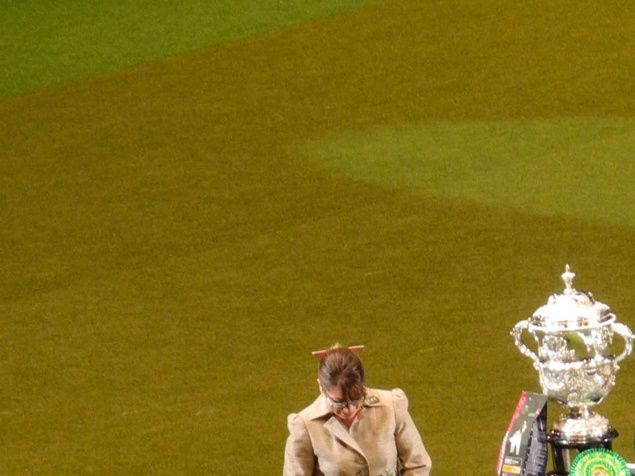 Da har vi fått oppleve Crufts for første gang. Snakk om fine dager med masse inntrykk!  5 haller med masse fine hunder, masse salgsboder og mange koselige mennesker.  Vi har fått med ring bedømminger,  gruppefinaler og forskjellige show og konkurranser.  Høydepunktet var selvsagt Best in Show finale, når de 7 fineste hundene av 21000 hunder skulle konkurrere om 1.plassen.  Ingen lett jobb for dommeren, de var alle nydelige.  Vi heia selvsagt på den svenske flat'en 
