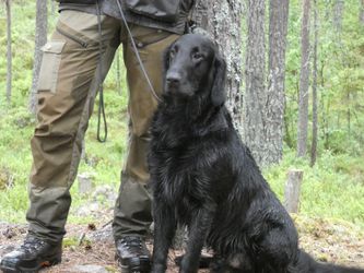Foto: Inger Helene Sørli