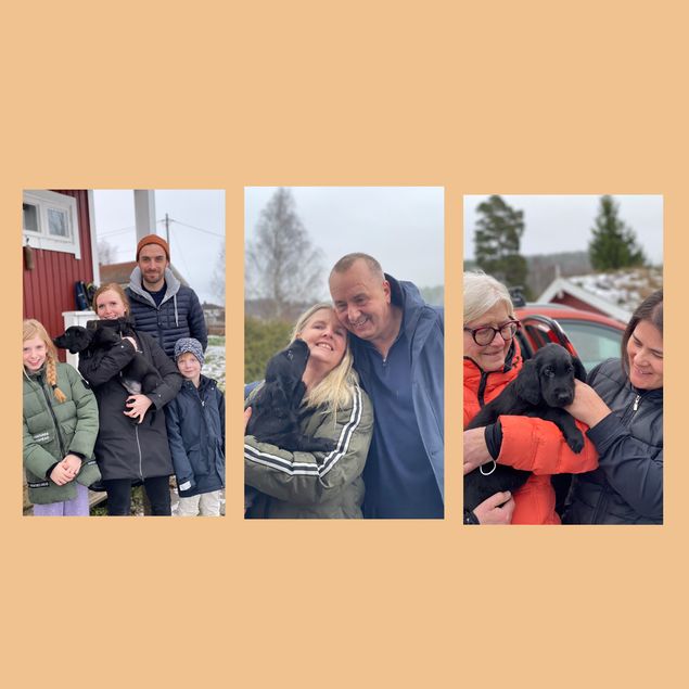 Marve, Theo og Elvira